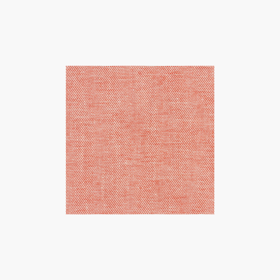 Álbum Tradicional Lino